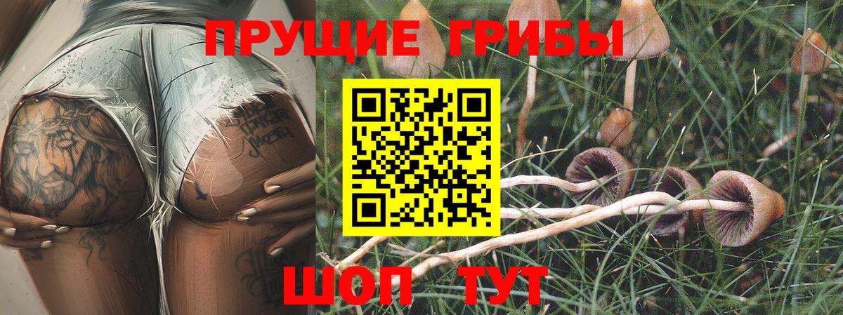 Галлюциногенные грибы прущие грибы Костомукша