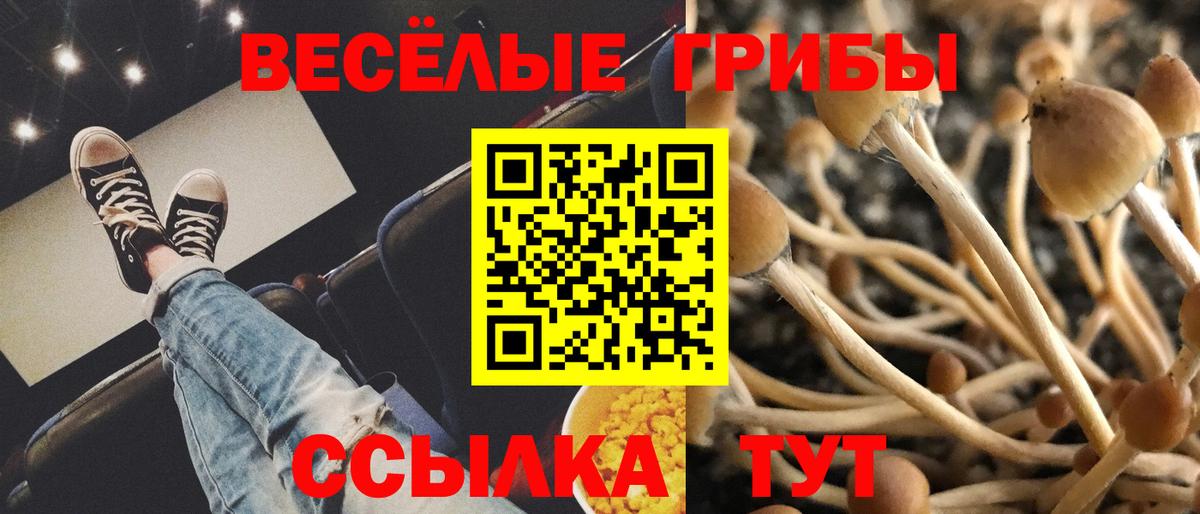 Костомукша  Псилоцибиновые грибы ЛСД  Вход с VPN 