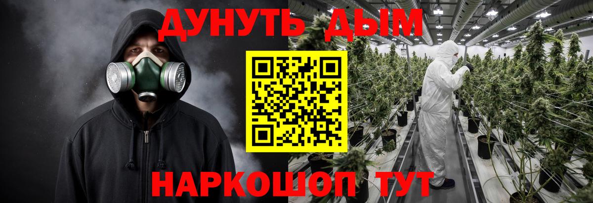 Бошки Шишки семена Костомукша